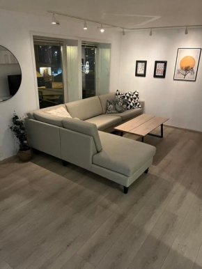 Central 3 bedroom apartment - Free parking